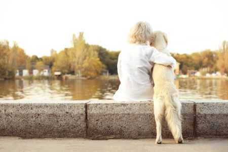 「堺からはじまる、動物と人の共生社会」 〜持続可能な動物福祉に向けた政策提言と地域モデル〜